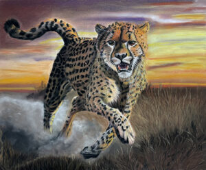 Image of "Sunset Run" pastel painting of a cheetah running at sunset.