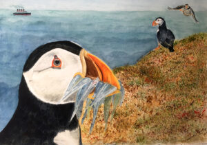 Image of watercolor painting of puffins